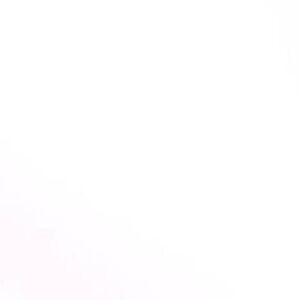 Women’s clothing lot